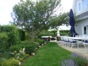 Residential Landscape Design Services by Above Par