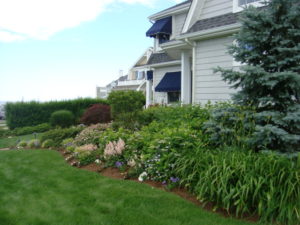 Residential Landscape Design Services by Above Par