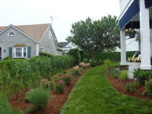 Residential Landscape Design Services by Above Par