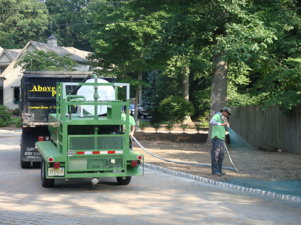 Side Yard HydroSeed Install