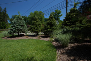 Residential Landscape Design Services by Above Par