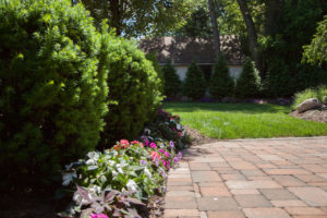 Residential Landscape Design Services by Above Par